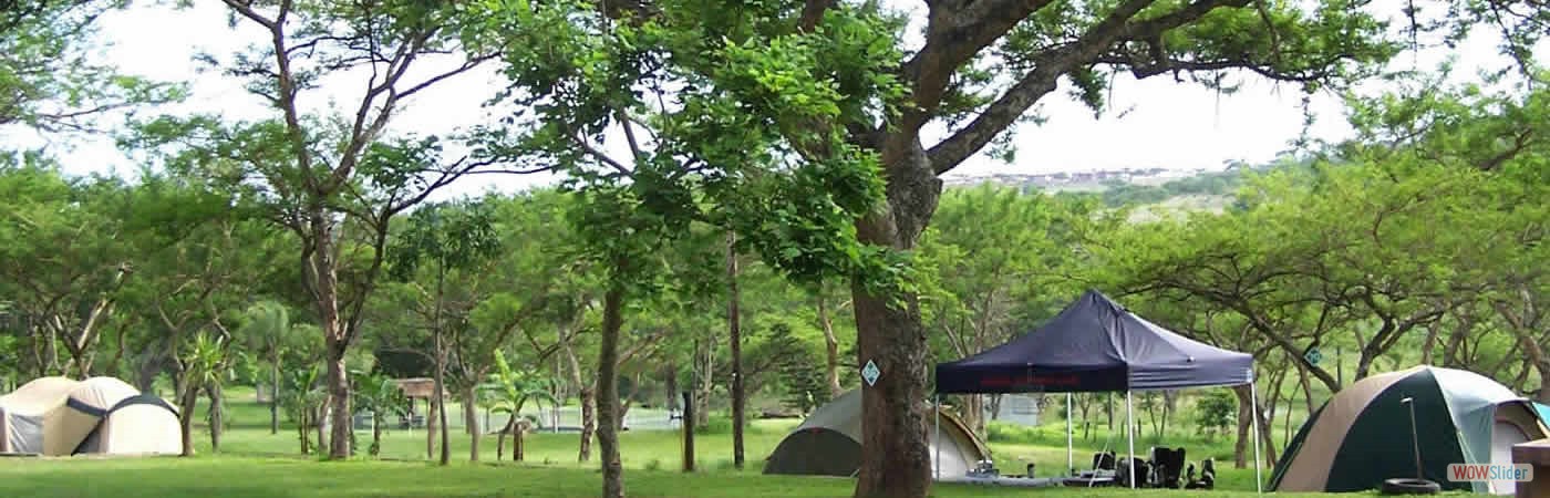 park