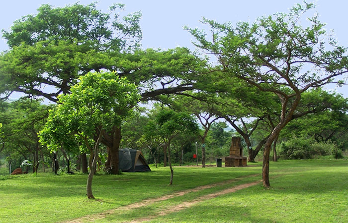 campsites3