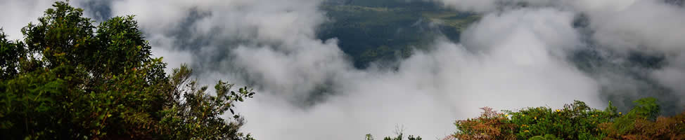 God's Window Mpumalanga