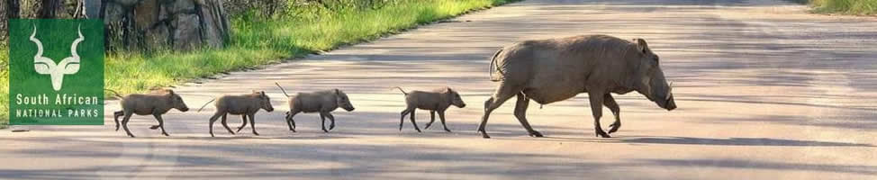 Kruger National Park