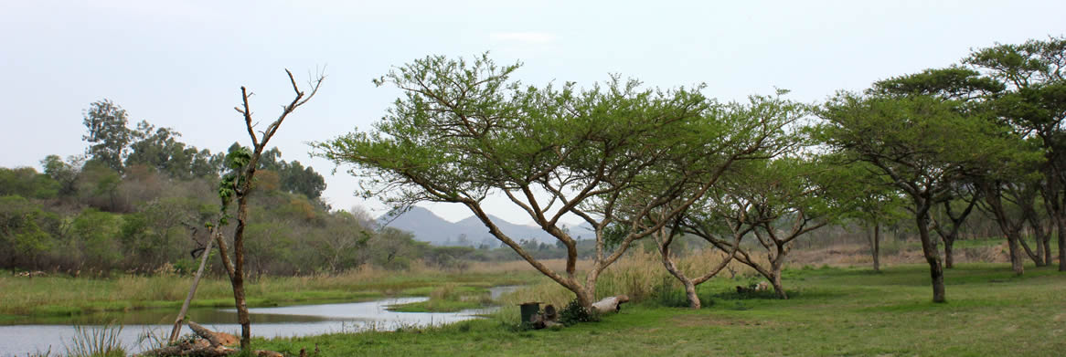 Lakeview Camping and Caravans in Nelspruit offers safe, well maintained, child friendly camping and caravan sites for family holidays in Mpumalanga
